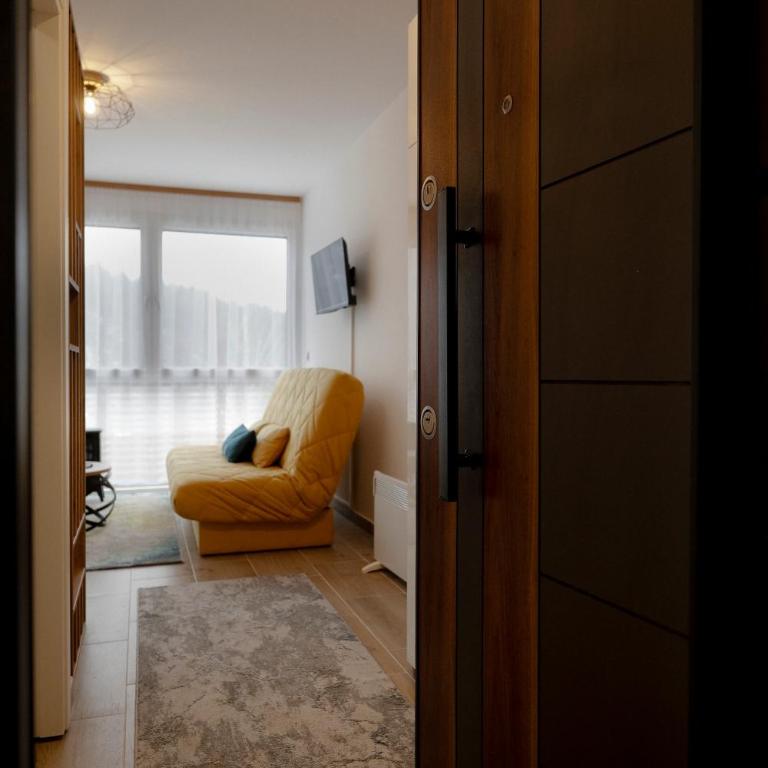 Apartman PETICA Divčibare - Apartman sa 1 Spavaćom Sobom - 5