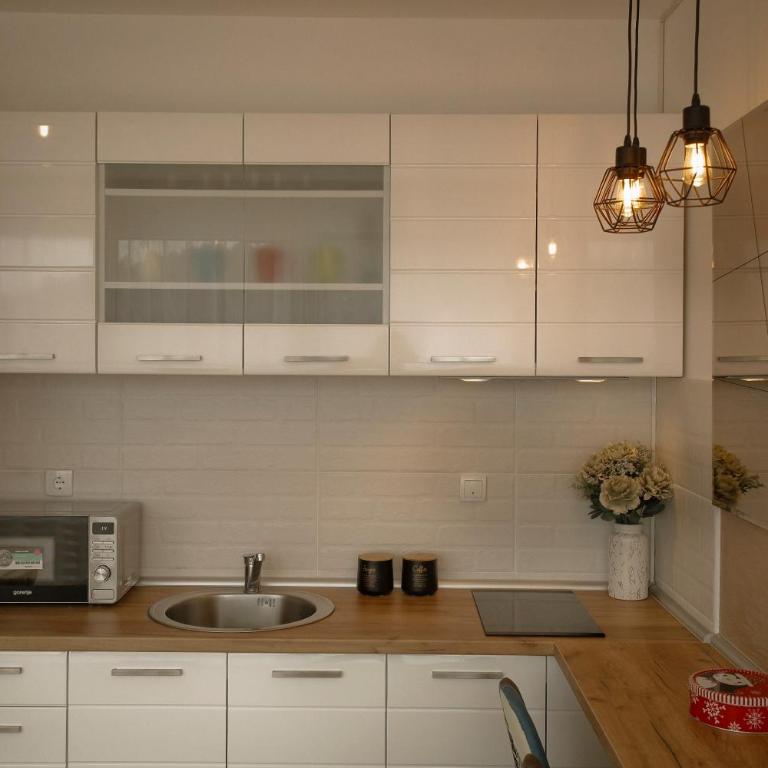 Apartman PETICA Divčibare - Apartman sa 1 Spavaćom Sobom - 8