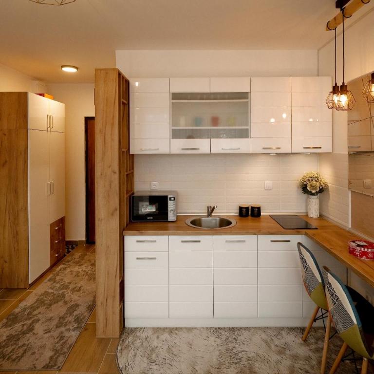 Apartman PETICA Divčibare - Apartman sa 1 Spavaćom Sobom - 13