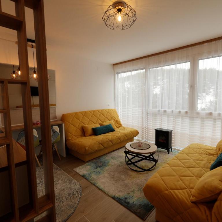 Apartman PETICA Divčibare - Apartman sa 1 Spavaćom Sobom - 1