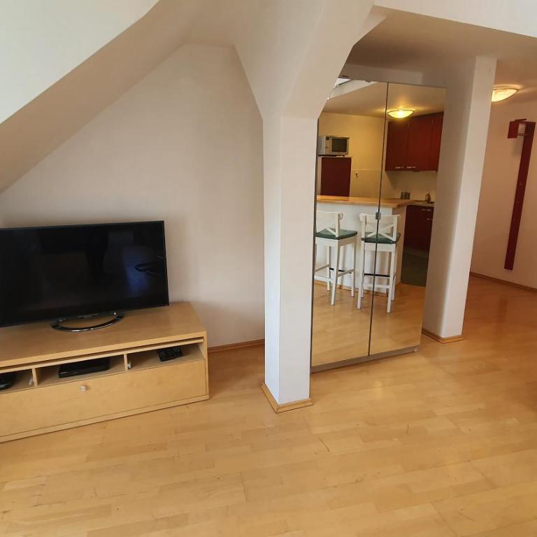 Hotel Der Tannenbaum - Studio-Apartment - 9