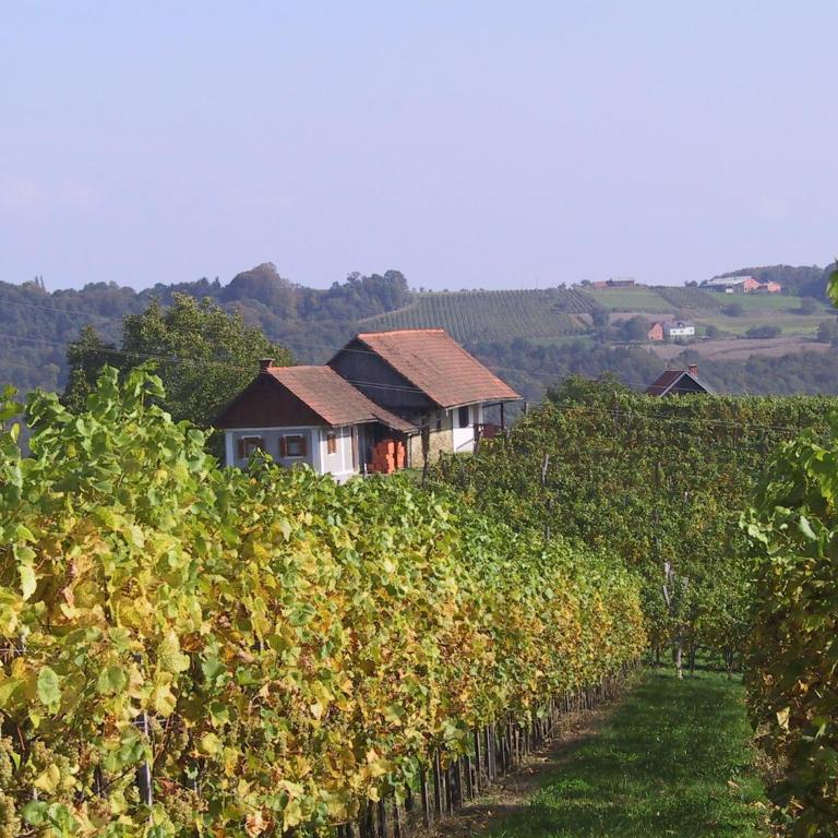 Weinlandhof - Doppelzimmer - 9