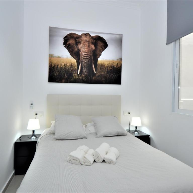 ALVAREZ Centro Histórico - Apartamento - Planta baja - 5