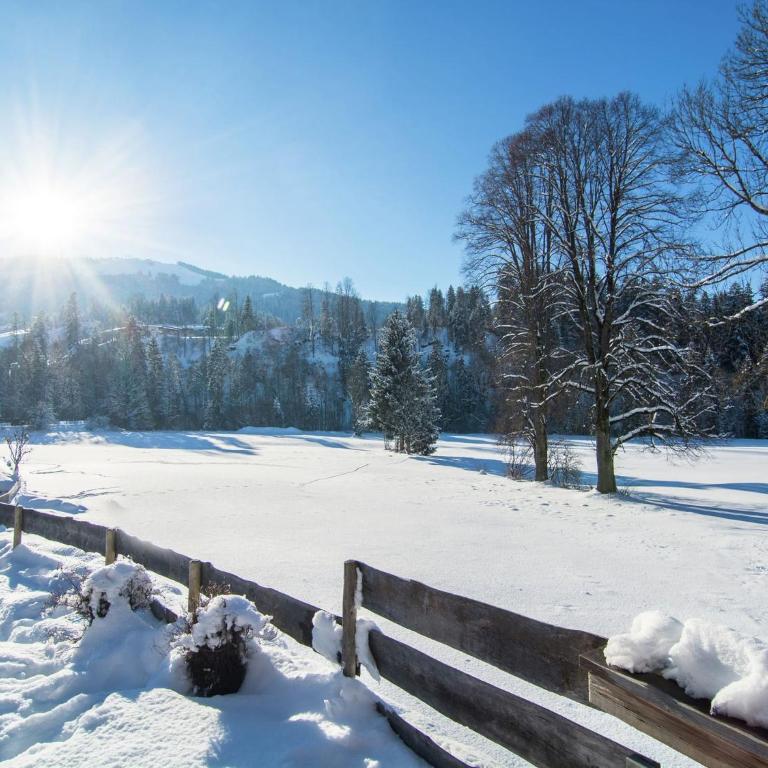 Chalet in Ellmau near Ski Slopes - Superior Chalet - 36