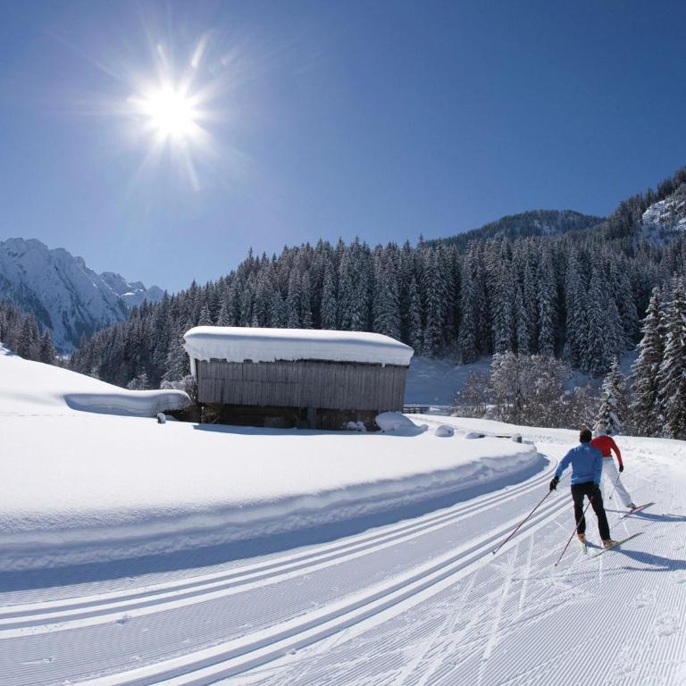 Apartment in Mayrhofen near Ski Lifts - Two-Bedroom Apartment - 30