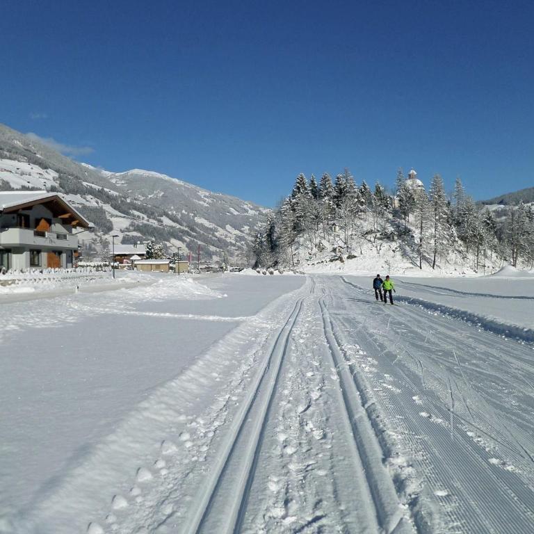 Apartment in Mayrhofen near Ski Lifts - Two-Bedroom Apartment - 22