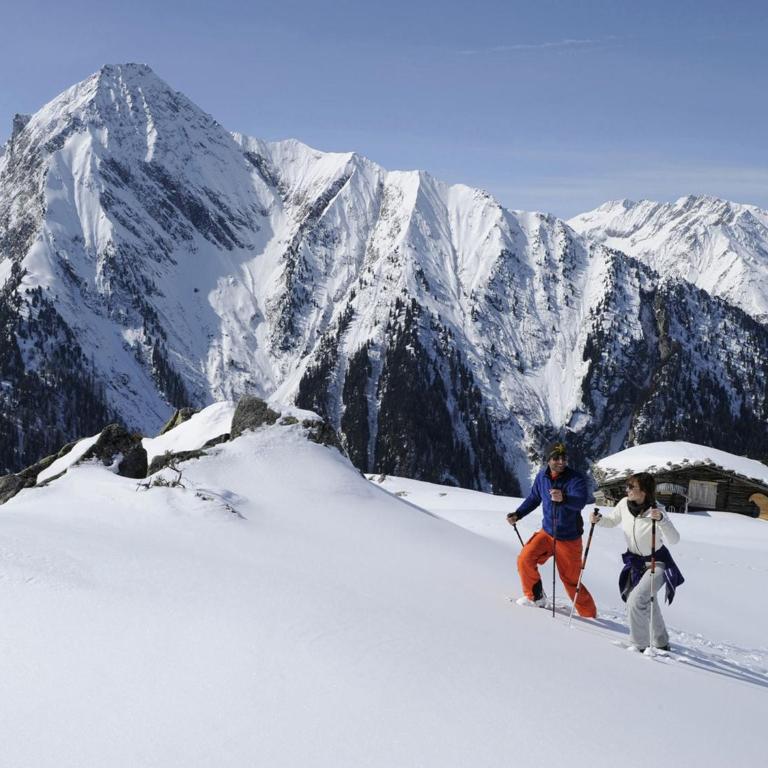 Apartment in Mayrhofen near Ski Lifts - Two-Bedroom Apartment - 24