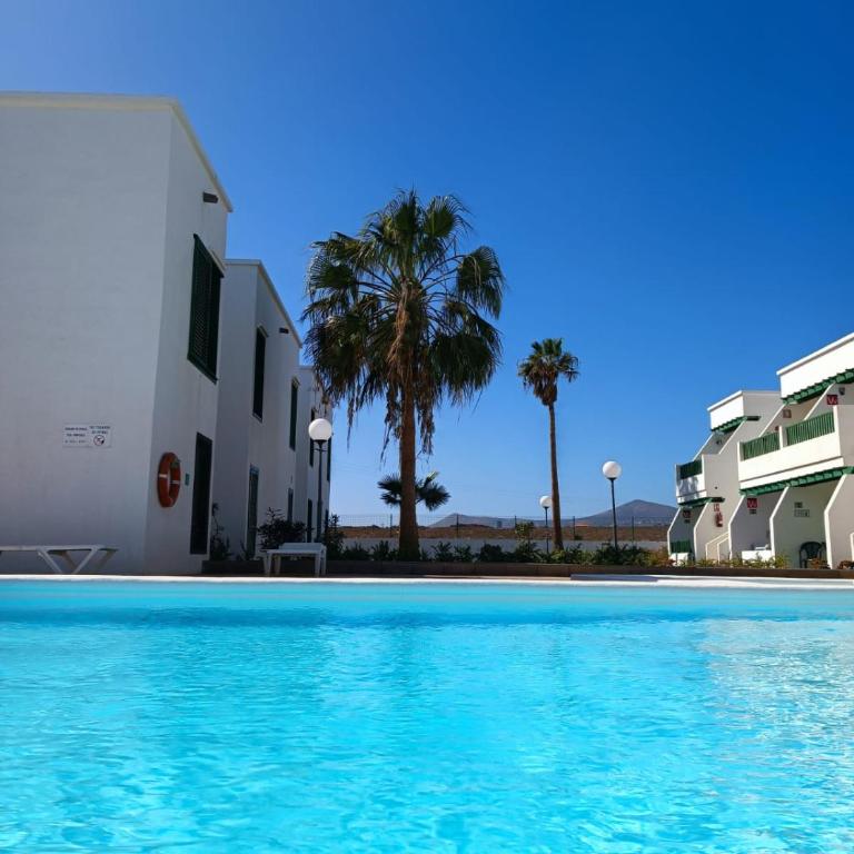 Apartamento Mimosas Pocillos - One-Bedroom Apartment - 1