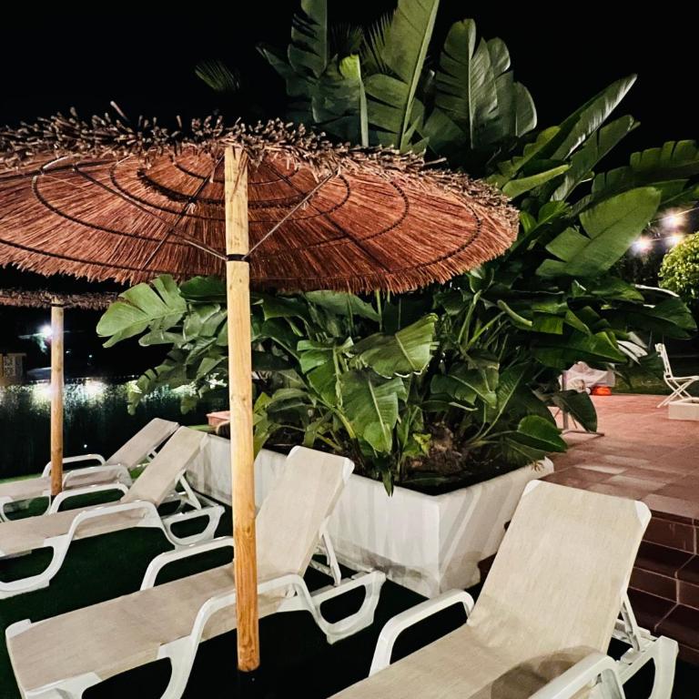 Apartments with tropical garden and sea water pool - One-Bedroom Apartment - 2