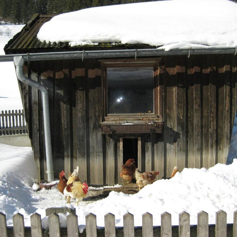 Apartment in Pettneu near St Anton Ski Slopes - Apartment mit 3 Schlafzimmern - 30