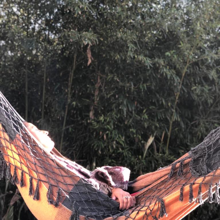 Casa Pindo - Punta Rubia - Casa - 5