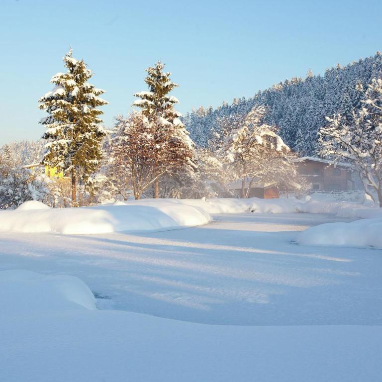 Luxury Chalet Gaschurn near Ski Lift - Superior Chalet - 24
