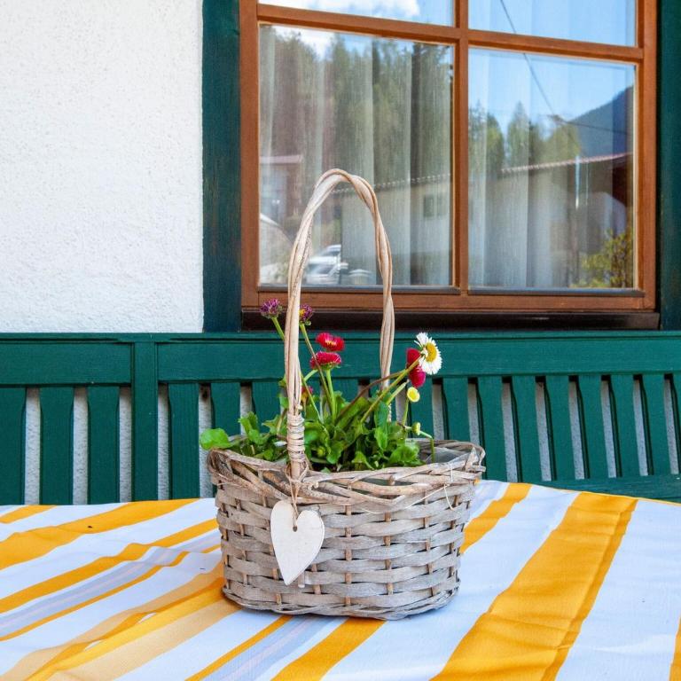 Apartment in Mayrhofen near Penkenbahn Cable Car - Two-Bedroom Apartment - 34