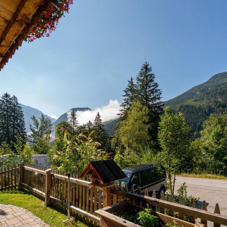 Chalet in Wald near Wildkogel Ski Arena - Chalet mit 3 Schlafzimmern - 3