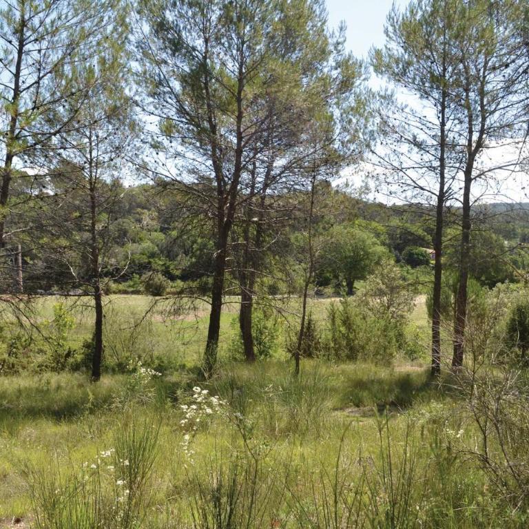 1 Bedroom Amazing Apartment In Lorgues - One-Bedroom Apartment - 14