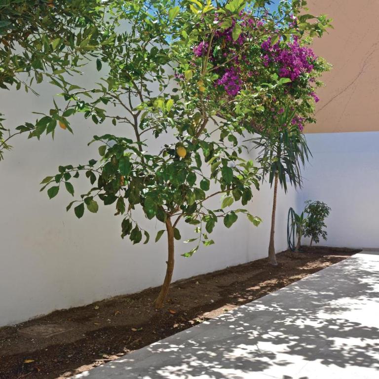 Es Molinar - Casa de 4 dormitorios - 8