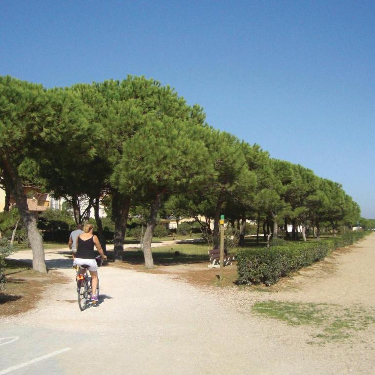 Gorgeous Apartment In Argeles Sur Mer - Apartamento de 1 dormitorio - 18