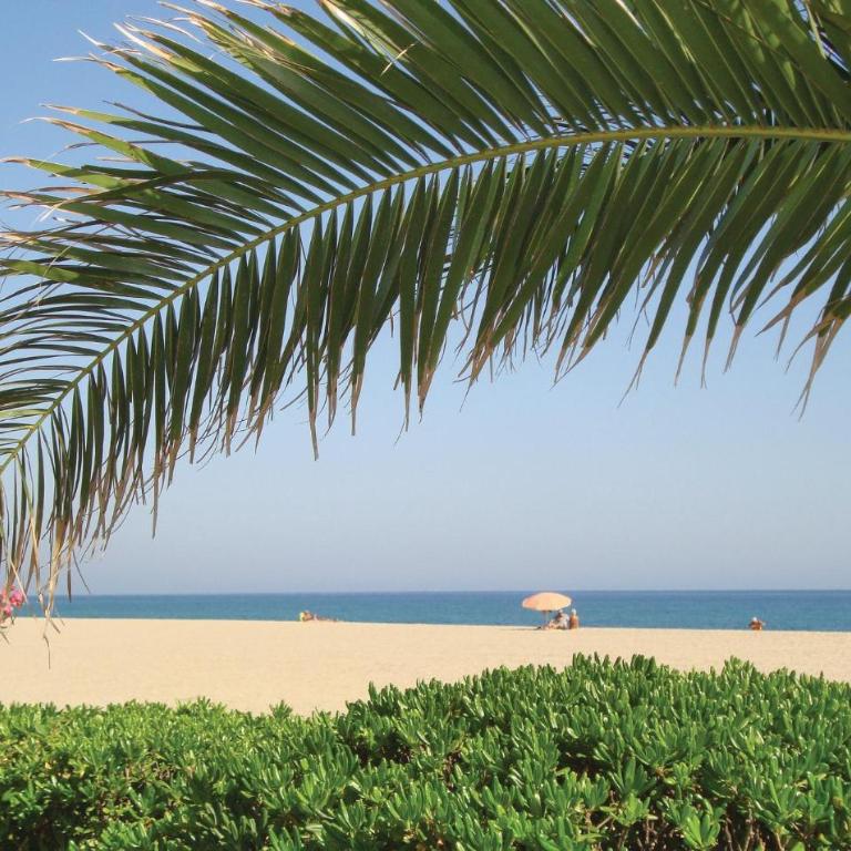 Gorgeous Apartment In Argeles Sur Mer - Apartamento de 1 dormitorio - 3