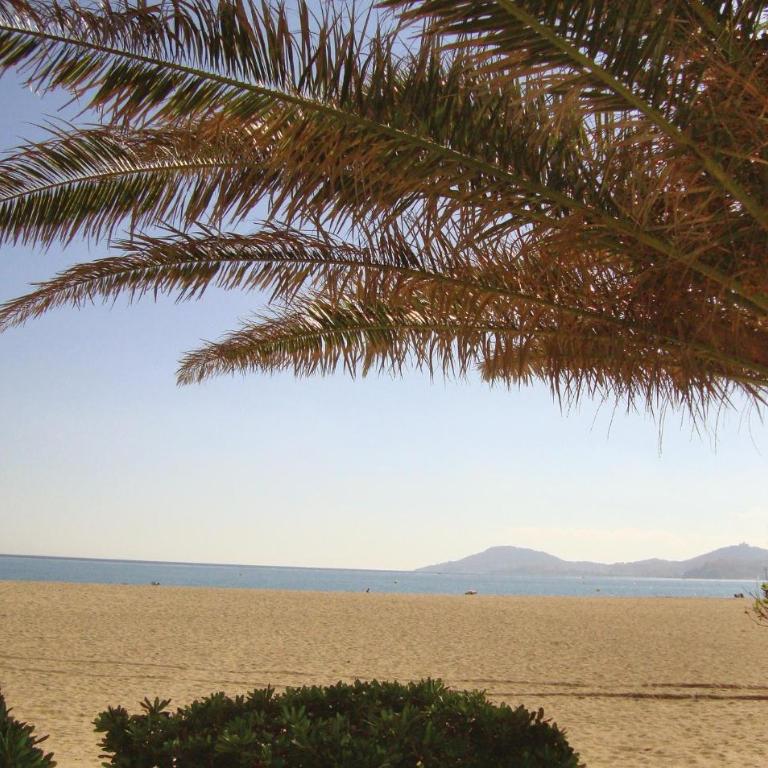 Gorgeous Apartment In Argeles Sur Mer - Apartamento de 1 dormitorio - 19