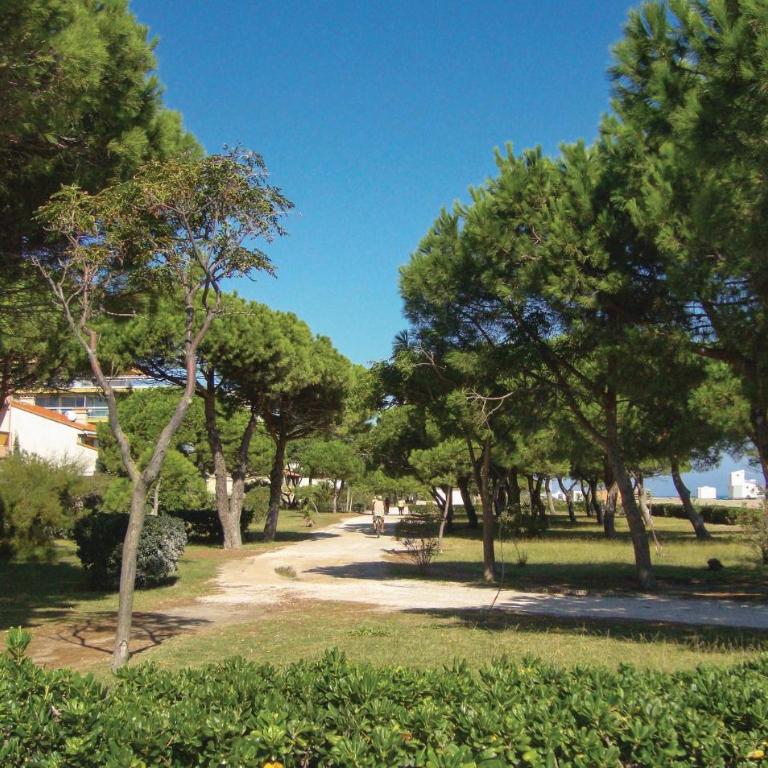 Gorgeous Apartment In Argeles Sur Mer - Apartamento de 1 dormitorio - 22