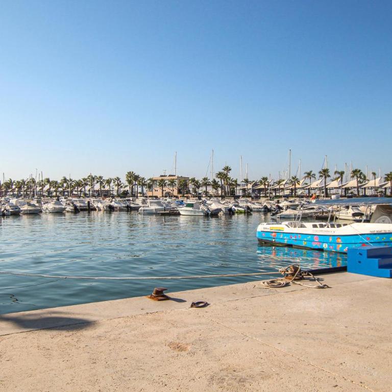 2 Bedroom Pet Friendly Apartment In Santa Pola - Apartamento de 2 dormitorios - 13