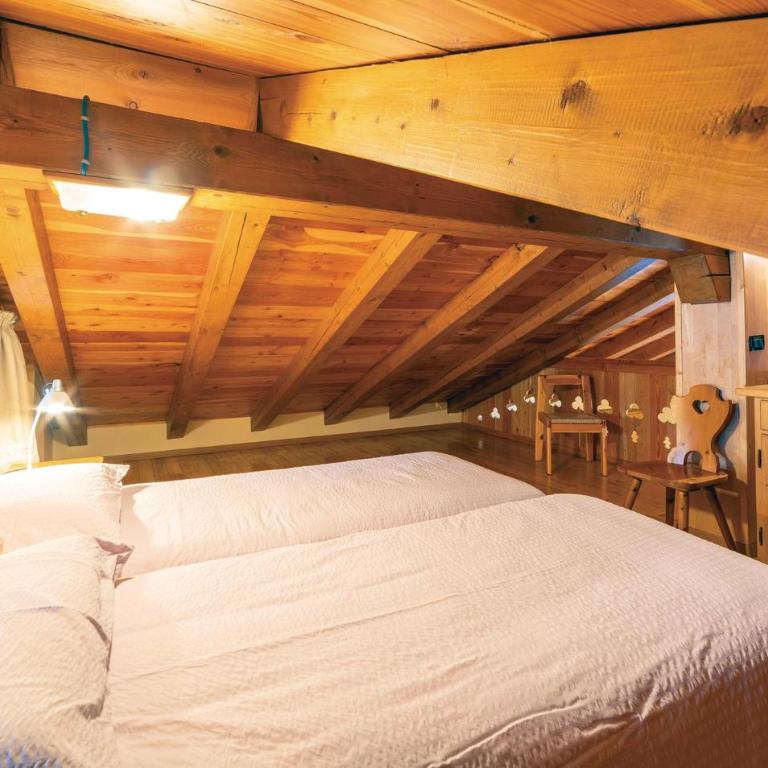 Maso Roncal - Ferienhaus mit 3 Schlafzimmern - 18