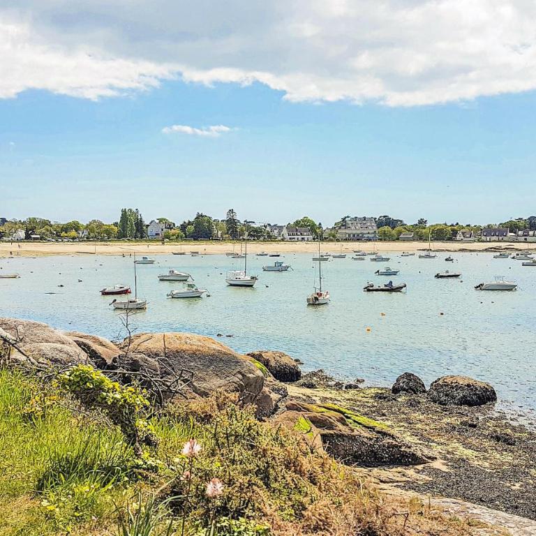 Gorgeous Apartment In Concarneau - Appartement 3 Chambres - 29