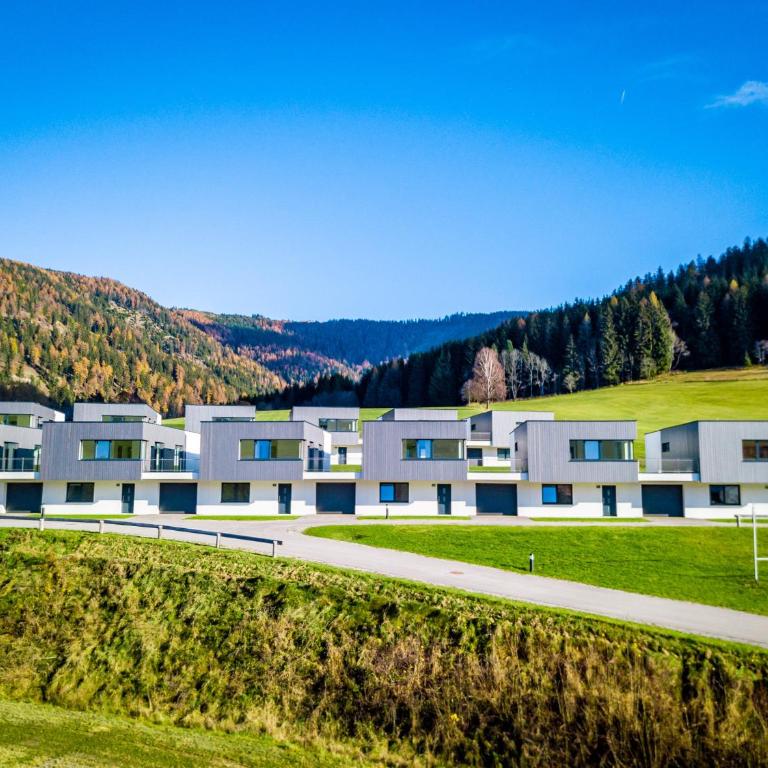 Naturpark Chalets Lambrecht by ALPS RESORTS - Chalet avec Sauna - 11