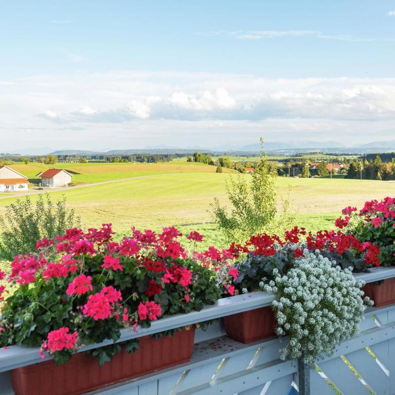 Ferienwohnung im Allgäu - Ferienhaus mit 2 Schlafzimmern - 9