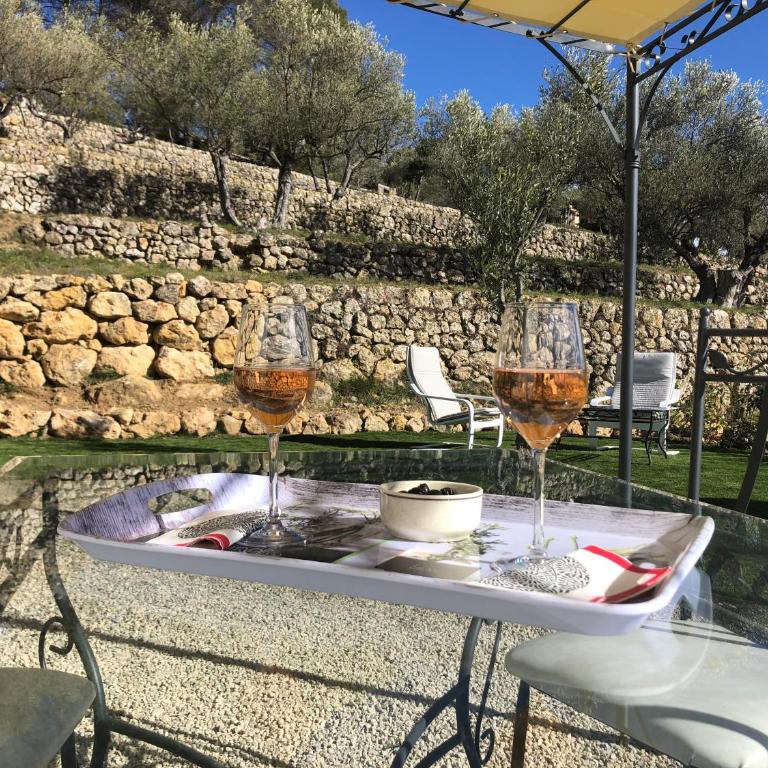 Villa Maya Blanca entre côte d́́́ Azur et gorges du Verdon et recharge voiture électrique - Studio - Vue sur Piscine - 7