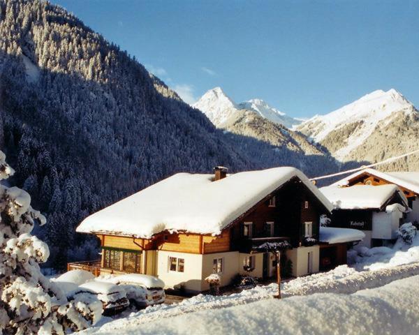 Alpenhaus Netzer - Apartment mit Dusche - 1