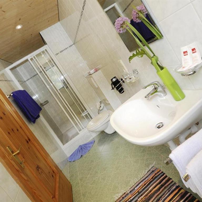 Alpenhaus Netzer - Apartment mit Dusche - 13
