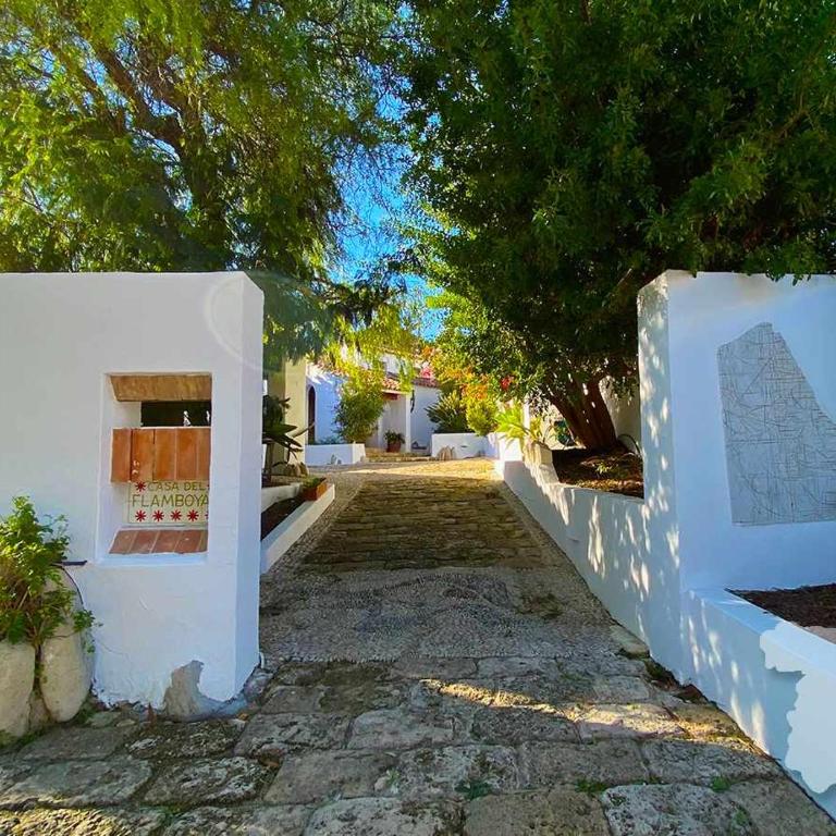 CostaBlancaDreams Casa del Flamboyan in Moraira - Villa - 11