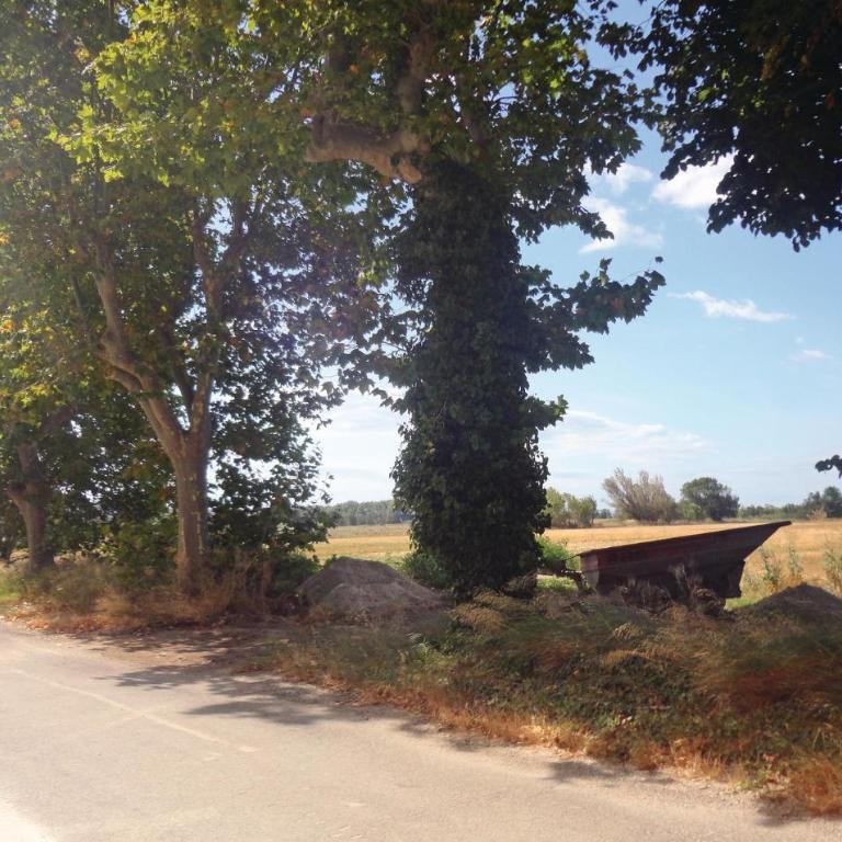 Pet Friendly Home In Narbonne With Sauna - Two-Bedroom Holiday Home - 11