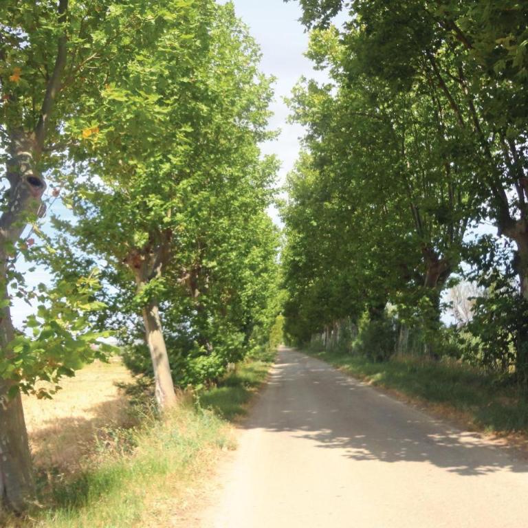Pet Friendly Home In Narbonne With Sauna - Two-Bedroom Holiday Home - 10