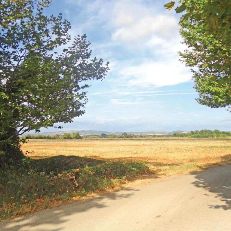 Pet Friendly Home In Narbonne With Sauna - Two-Bedroom Holiday Home - 12