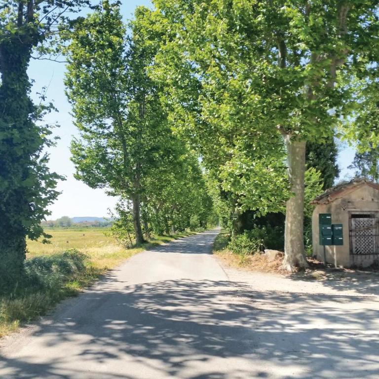 Pet Friendly Home In Narbonne With Sauna - Two-Bedroom Holiday Home - 24