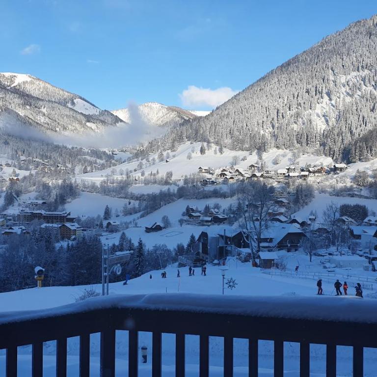 Deluxe Panorama Apartment-Maibrunn-Alm - Apartment mit 2 Schlafzimmern - 6