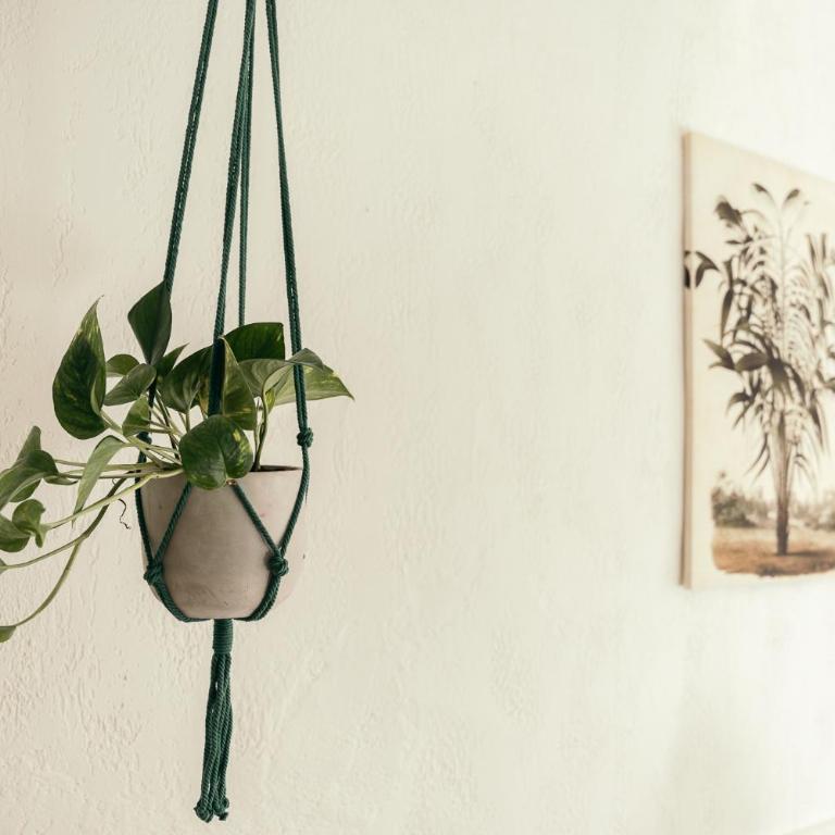 THE GAÏA - Studio Supérieur - 7