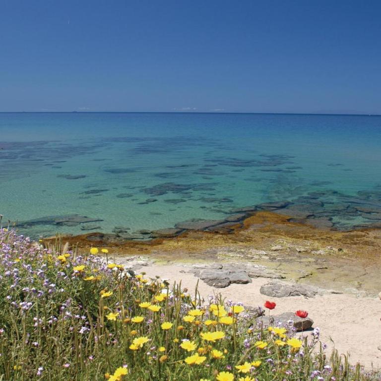 Lubagnu - Casa Vacanze con 3 Camere da Letto - 23