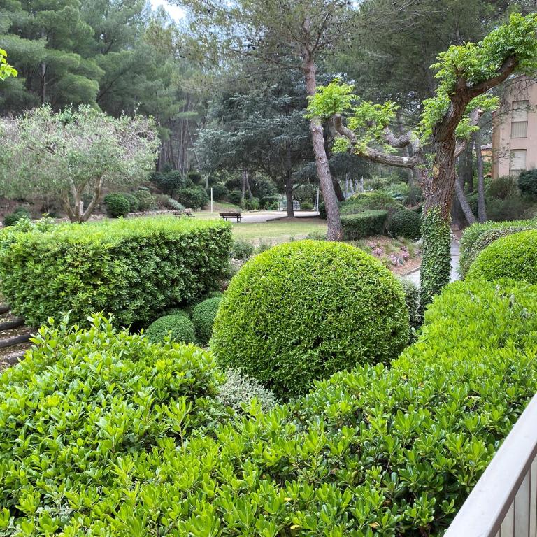 Sanary Bandol Piscine Plage Calme - Apartment mit 1 Schlafzimmer - 22