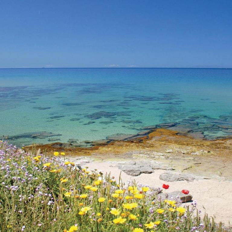 Gorgeous Apartment In Costa Rei -Ca- With Wifi - Appartamento con 1 Camera da Letto - 3