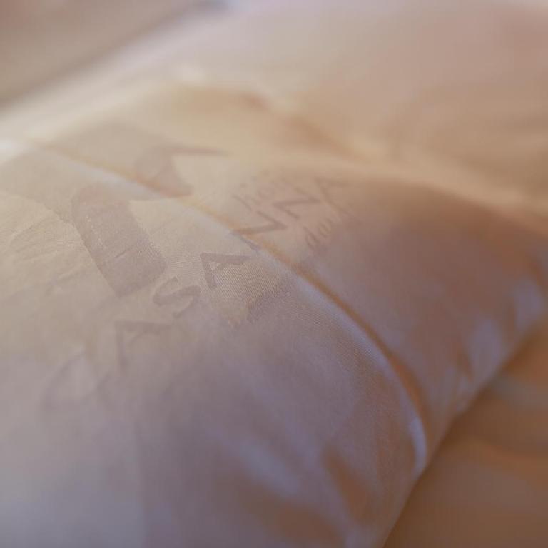 Casanna Hotel Davos City Center - Standard Doppelzimmer mit Balkon und Panoramablick - 3