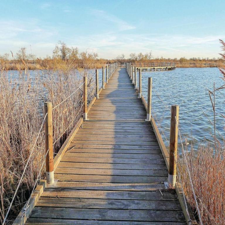 1 Bedroom Lovely Apartment In Aigues-Mortes - Apartment - 24