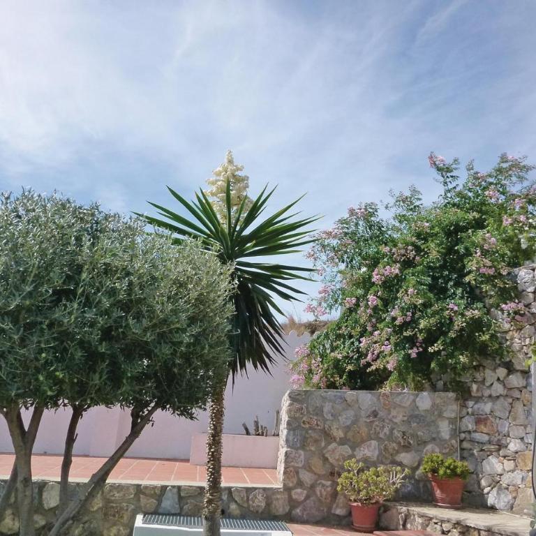Cozy Home In Almuñécar - Casa de vacaciones de 5 dormitorios - 25