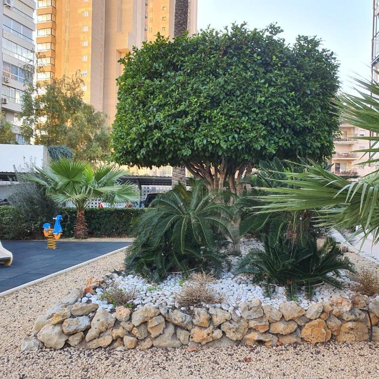 Mar Blau 42 - Apartamento de 2 dormitorios - 22