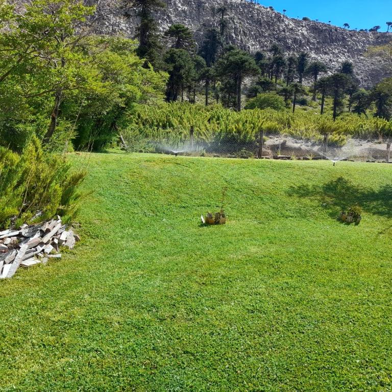 Del Sendero Caviahue - Apartamento de 2 dormitorios - 22