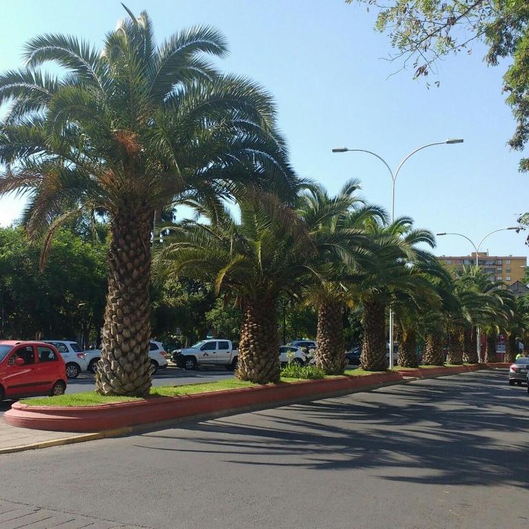 Casa dos Leones - Habitación con cama grande - 27