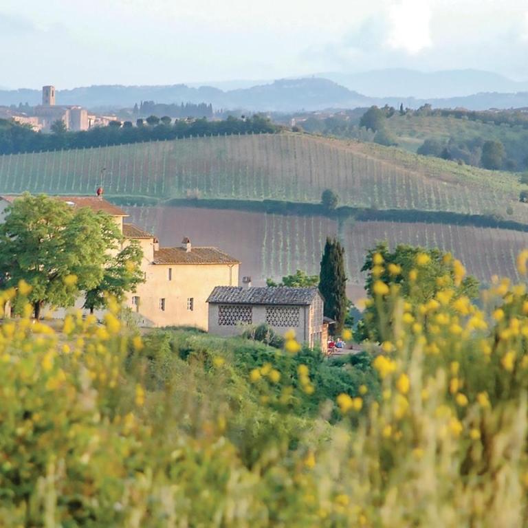 Sanlucchese 4 - One-Bedroom Vacation Home - 1
