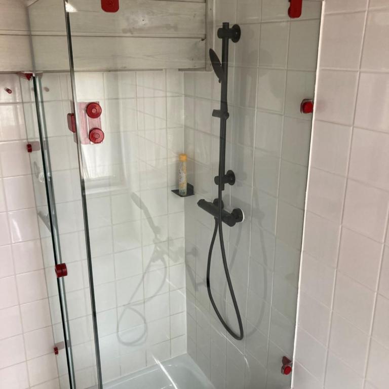 Haus mit Sauna und privatem Badeteich in Anif bei Salzburg - Haus mit 4 Schlafzimmern - 43